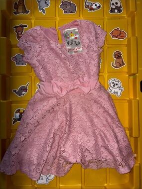 Pink Lace Bow Dress